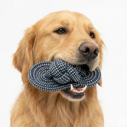 Rope Slipper Dog Toy for Chew, Tug & Dental Play - Grey & White