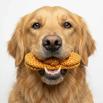 Rope Slipper Dog Toy for Chew, Tug & Dental Play - Yellow & Red