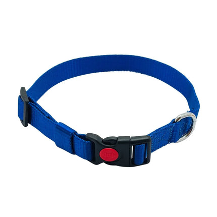 Heavy Duty Dog Collar with Buckle for Small to Medium Dogs- Blue