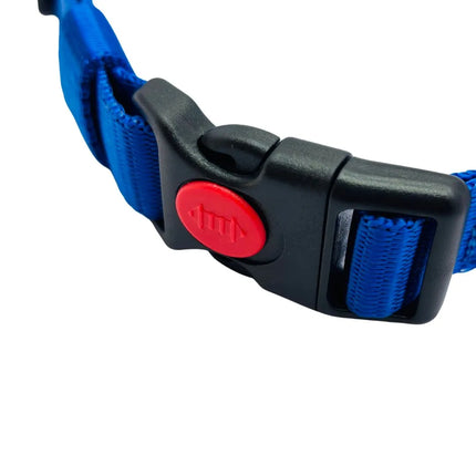 Heavy Duty Dog Collar with Buckle for Small to Medium Dogs- Blue