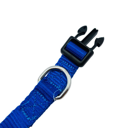 Heavy Duty Dog Collar with Buckle for Small to Medium Dogs- Blue