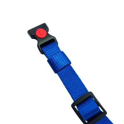 Heavy Duty Dog Collar with Buckle for Small to Medium Dogs- Blue