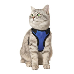 No-pull blue cat harness and leash set with quick-release buckles