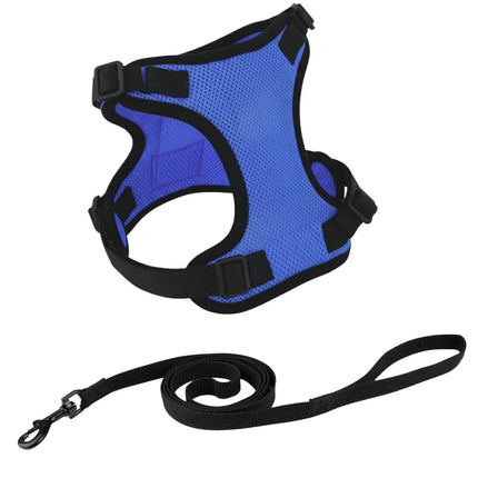 Blue breathable mesh cat harness with adjustable straps and matching leash