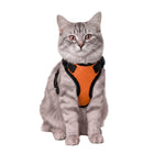 Orange breathable mesh cat harness with adjustable straps and matching leash