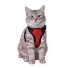 Cat harness and leash set in red – no-pull vest design for safe walking
