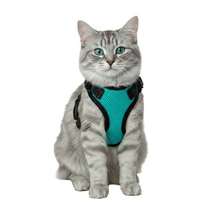 Green breathable mesh cat harness with adjustable black straps and matching leash