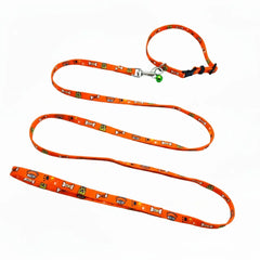 Printed orange pet collar and matching leash set for small dogs and cats