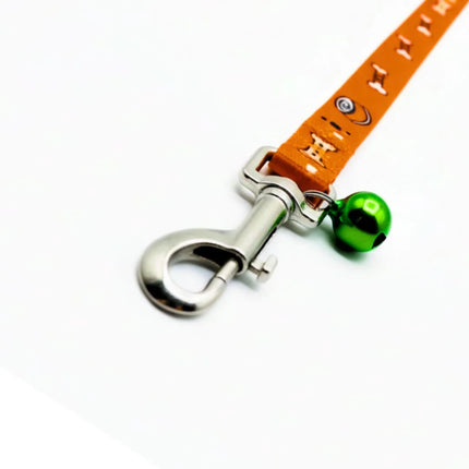 Durable small pet leash set with metal snap hook and printed design