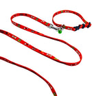 Printed red pet collar and matching leash set for small dogs and cats