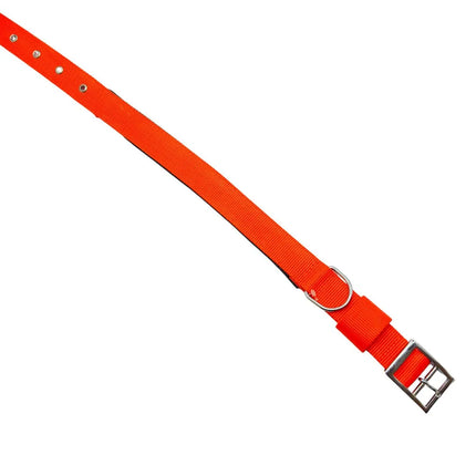 Padded Nylon Dog Collar - Orange