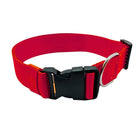 Heavy-duty red dog collar with locking safety buckle and metal D-ring