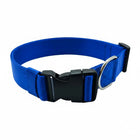 Heavy-duty blue dog collar with locking safety buckle and metal D-ring