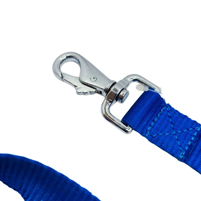 Heavy Duty Flat Dog Leash For Small to Large Dogs - 1 inch - Blue