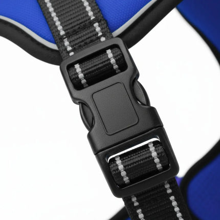 Blue reflective dog harness with strong D-ring for leash attachment