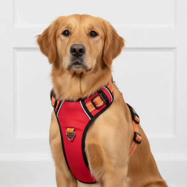 Premium Dog H-Harness - Red 