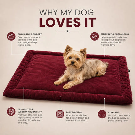 Premium Velvet Mat for Dogs & Cats with Soft Cushion and Anti Skid - Maroon