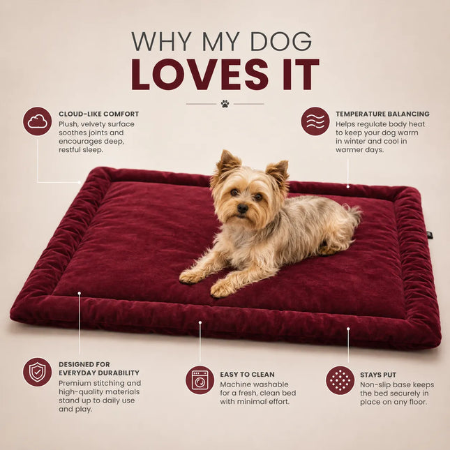 Premium Velvet Mat for Dogs & Cats with Soft Cushion and Anti Skid - Maroon
