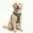 Olive green no-pull dog harness with breathable mesh and reflective straps
