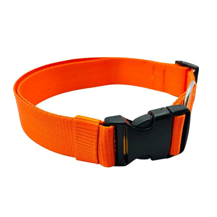 Orange dog collar with safety lock and nickel-plated D-ring for leash attachment