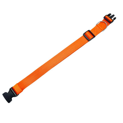 Adjustable orange dog collar with secure buckle and strong webbing