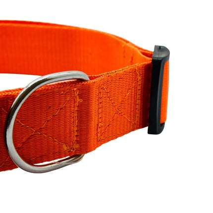 Orange dog collar with safety lock and nickel-plated D-ring for leash attachment