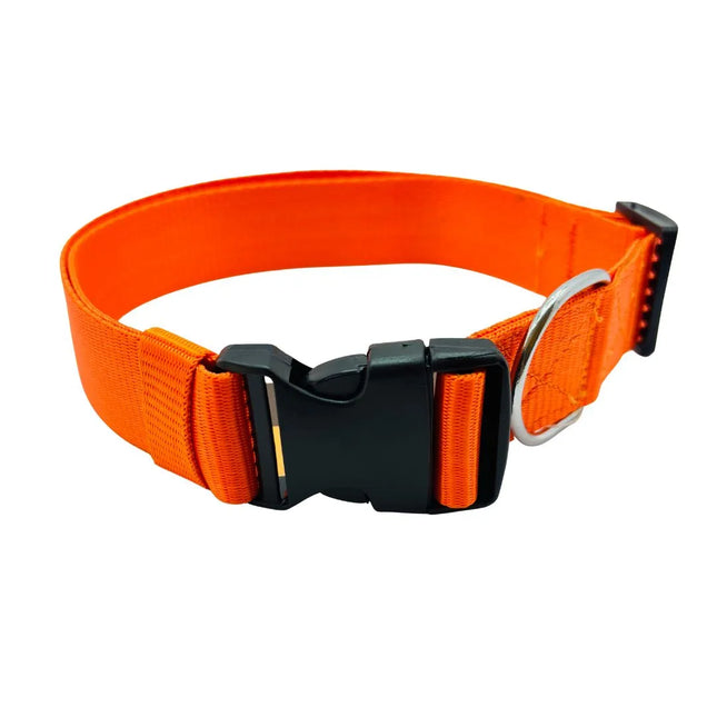 Heavy-duty orange dog collar with locking safety buckle and metal D-ring