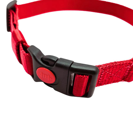 Heavy Duty Dog Collar with Buckle for Small to Medium Dogs- Red