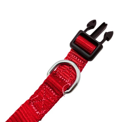 Heavy Duty Dog Collar with Buckle for Small to Medium Dogs- Red