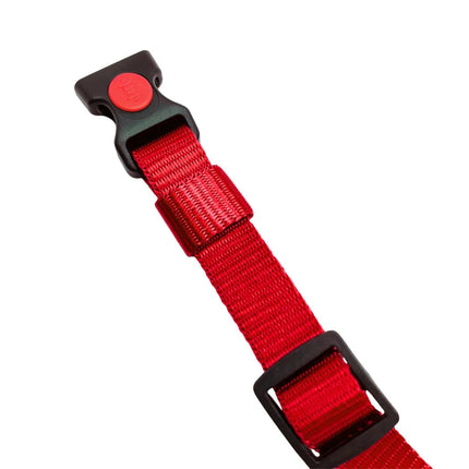 Heavy Duty Dog Collar with Buckle for Small to Medium Dogs- Red