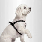 Padded 'Y' Style Adjustable Dog Harness - Small - Black